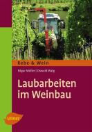 Laubarbeiten im Weinbau di Edgar Müller, Oswald Walg edito da Ulmer Eugen Verlag