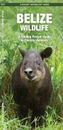 Belize Wildlife: A Folding Pocket Guide to Familiar Species di James Kavanagh, Waterford Press edito da Waterford Press