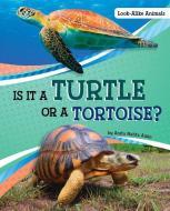 Is It a Turtle or a Tortoise? di Anita Nahta Amin edito da PEBBLE BOOKS