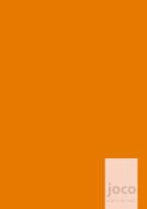 joco - orange - Dein Weg zum Erfolg - ein Tagebuch, Journal für Achtsamkeit, Dankbarkeit und Persönlichkeitsentwicklung di Lars Hülsmann edito da JOCO-planer