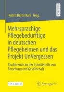 Mehrsprachige Pflegebedürftige in deutschen Pflegeheimen und das Projekt UnVergessen edito da Springer-Verlag GmbH