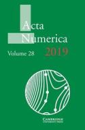 Acta Numerica 2019: Volume 28 di Arieh Iserles edito da Cambridge University Press