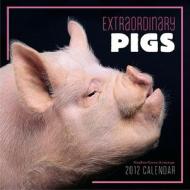 Extraordinary Pigs 2012 Wall Calendar di Stephen Green-armytage edito da Abrams