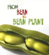 From Bean to Bean Plant di Anita Ganeri edito da Heinemann Educational Books