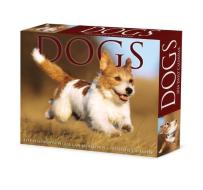 Dogs 2024 6.2 X 5.4 Box Calendar di Willow Creek Press edito da Willow Creek Press