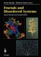 Fractals and Disordered Systems edito da Springer Berlin Heidelberg