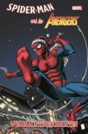 Spider-Man und die Avengers: Weihnachtsgeschichten di Darwyn Cooke, David Michelinie, Jeff Parker, Reilly Brown, Todd Mcfarlane edito da Panini Verlags GmbH