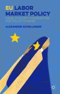 EU Labor Market Policy di A. Schellinger edito da Palgrave Macmillan UK