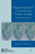 Regulating Banks in Central and Eastern Europe di Aneta Spendzharova edito da Palgrave Macmillan