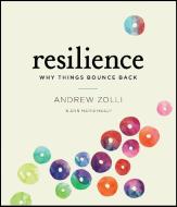 Resilience: Why Things Bounce Back di Andrew Zolli, Anne Marie Healy edito da Highbridge Company