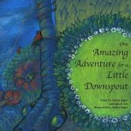 One Amazing Adventure for a Little Downspout di Jen E. Lis, Sofiya Inger edito da 53RD STATE PR