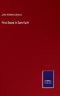 First Steps in Zulu-Kafir di John William Colenso edito da Salzwasser-Verlag