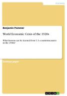 World Economic Crisis Of The 1920s di Benjamin Pommer edito da Grin Publishing