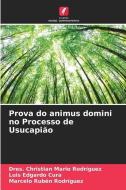 Prova do animus domini no Processo de Usucapião di Dres. Christian Mario Rodríguez, Luis Edgardo Cura, Marcelo Rubén Rodríguez edito da Edições Nosso Conhecimento