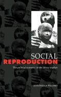 Social Reproduction di Antonella Picchio edito da Cambridge University Press
