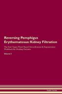 Reversing Pemphigus Erythematosus: Kidney Filtration The Raw Vegan Plant-Based Detoxification & Regeneration Workbook fo di Health Central edito da LIGHTNING SOURCE INC