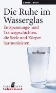 Die Ruhe im Wasserglas di Daniel Wilk edito da Auer-System-Verlag Carl -