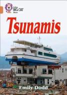 Tsunamis di Emily Dodd edito da HarperCollins Publishers
