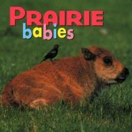 Prairie Babies di Creative Publishing International edito da Creative Publishing International