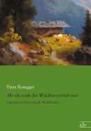 Als ich noch der Waldbauernbub war di Peter Rosegger edito da Europäischer Literaturverlag