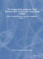 The Human Brain During The Third Trimester 225- To 235-mm Crown-Rump Lengths di Shirley A. Bayer, Joseph Altman edito da Taylor & Francis Ltd