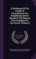 A Dictionary Of The Fossils Of Pennsylvania And Neighboring States Named In The Reports And Catalogues Of The Survey, Volume 2 edito da Palala Press