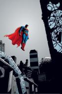 Superman by Mark Millar di Mark Millar edito da DC Comics