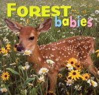 Forest Babies di Creative Publishing International edito da Creative Publishing International