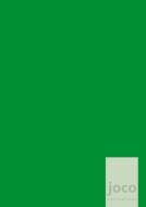 joco - grün - Dein Weg zum Erfolg - ein Tagebuch, Journal für Achtsamkeit, Dankbarkeit und Persönlichkeitsentwicklung di Lars Hülsmann edito da JOCO-planer