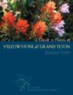 A  Guide to Plants of Yellowstone and Grand Teton National Parks di Ray Vizgirdas edito da The University of Utah Press