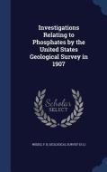 Investigations Relating To Phosphates By The United States Geological Survey In 1907 di F B Weeks edito da Sagwan Press