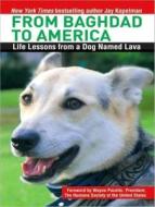 From Baghdad to America: Life Lessons from a Dog Named Lava di Jay Kopelman edito da Tantor Media Inc