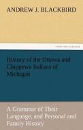 History of the Ottawa and Chippewa Indians of Michigan di Andrew J. Blackbird edito da tredition GmbH
