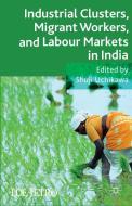 Industrial Clusters, Migrant Workers, and Labour Markets in India edito da Palgrave Macmillan