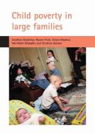 Child Poverty in Large Families di Jonathan Bradshaw, Naomi Finch, Emese Mayhew edito da PAPERBACKSHOP UK IMPORT