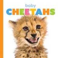 Baby Cheetahs di Kate Riggs edito da CREATIVE ED & PAPERBACKS