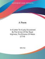 A Poem: In a Letter to a Lady, Occasioned by the Arrival of Her Royal Highness, the Princess of Wales (1714) di John Gay edito da Kessinger Publishing
