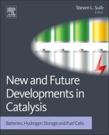 New and Future Developments in Catalysis: Batteries, Hydrogen Storage and Fuel Cells edito da Elsevier LTD, Oxford