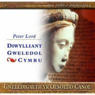 Gweledigaeth Yr Oesoedd Canol di Peter Lord edito da University Of Wales Press