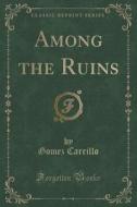 Among The Ruins (classic Reprint) di Gomez Carrillo edito da Forgotten Books