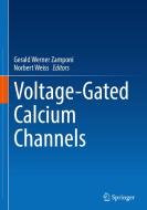 Voltage-Gated Calcium Channels edito da Springer International Publishing