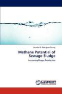 Methane Potential of Sewage Sludge di Lourdes M. Rodriguez Chiang edito da LAP Lambert Academic Publishing