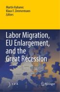 Labor Migration, EU Enlargement, and the Great Recession edito da Springer Berlin Heidelberg