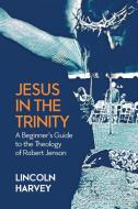 Jesus In The Trinity di Lincoln Harvey edito da Scm Press