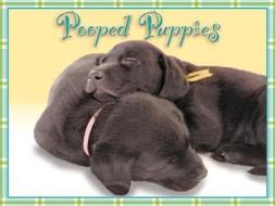Pooped Puppies Notecards edito da Sellers Publishing