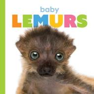 Baby Lemurs di Kate Riggs edito da CREATIVE ED & PAPERBACKS