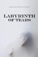 Labyrinth of Tears di Madelaine Basulto Paredes edito da AuthorHouse
