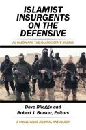 Islamist Insurgents on the Defensive di Dave Dilegge, Robert J. Bunker edito da Xlibris US