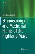 Ethnoecology And Medicinal Plants Of The Highland Maya di John Richard Stepp edito da Springer Nature Switzerland Ag