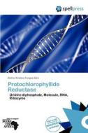 Protochlorophyllide Reductase edito da Duc